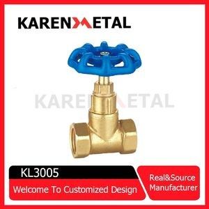 Premium Heavy-Duty Brass Globe Valve with Ergonomic Blue Handle