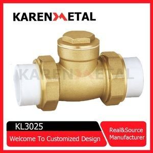 Quality  Premium Brass PPR Horizontal Check Valve for Water Pipes factory
