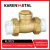 Premium Brass PPR Horizontal Check Valve for Water Pipes