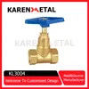 Heavy-Duty Engineering Brass Gate Valve for Optimal Performance