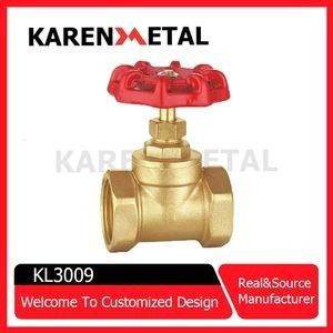 Premium Brass Forged Gate Valve for Plumbing Water Control